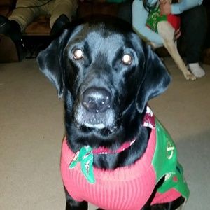 Meet your Posher, Gina